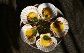 Freshly plated scallops in decorative shells at Ristorante Per L'Ora, an Italian restaurant in Los Angeles.