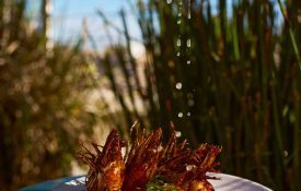 A hand squeezes fresh lemon juice over grilled shrimp skewers at Bar Clara, a vibrant rooftop bar in Los Angeles, CA.