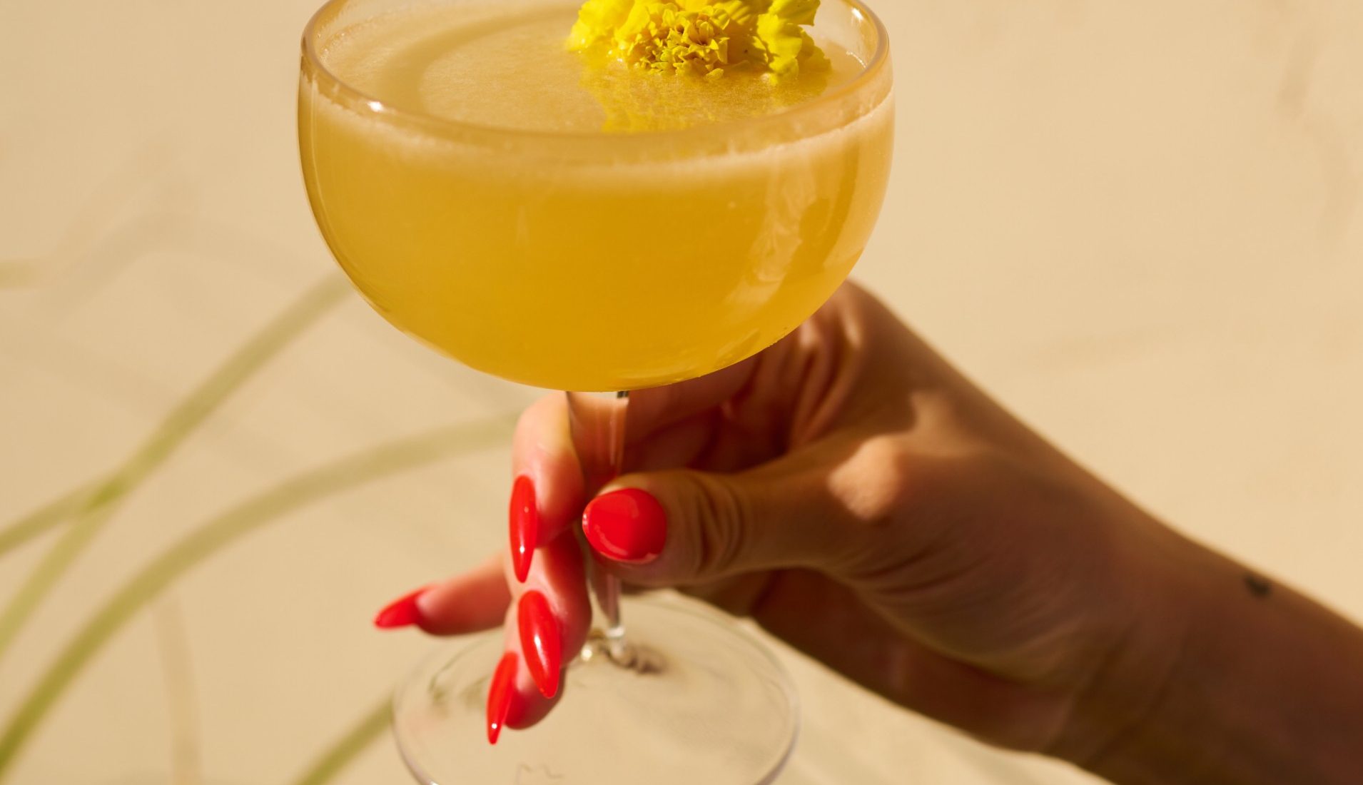 A yellow floral cocktail held against a sunny wall at Bar Clara, a top rooftop bar in Los Angeles, CA.