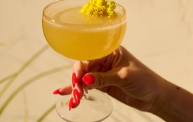 A yellow floral cocktail held against a sunny wall at Bar Clara, a top rooftop bar in Los Angeles, CA.
